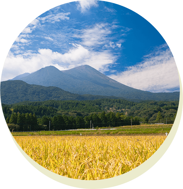 日本酒・焼酎トレーディングカード協会