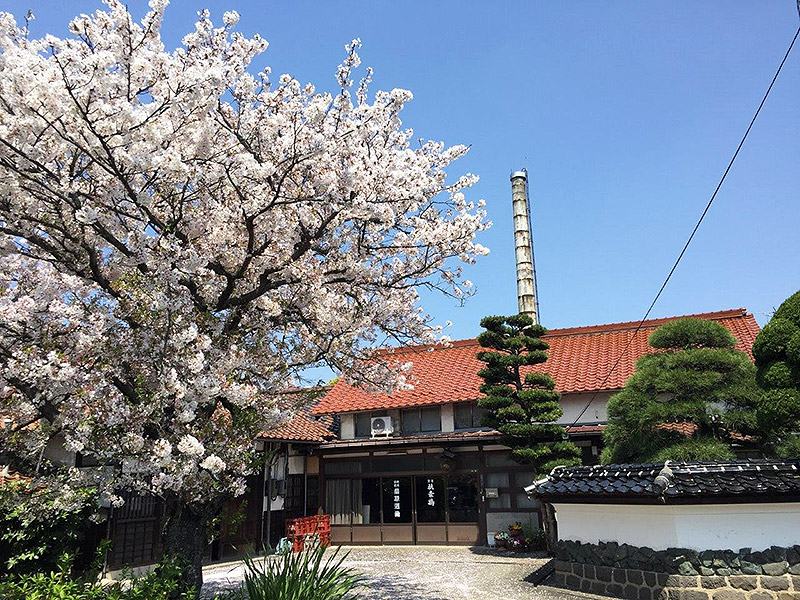 桑原酒場 外観